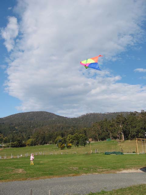 Picture 013